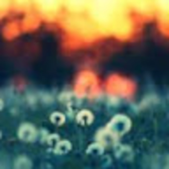 Meet your Posher, Emilee - Picture 1 of 1